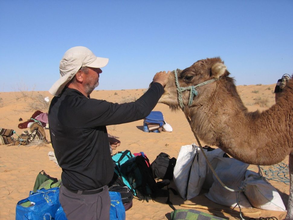 setkání s velbloudem - Pouť Saharou 2014
