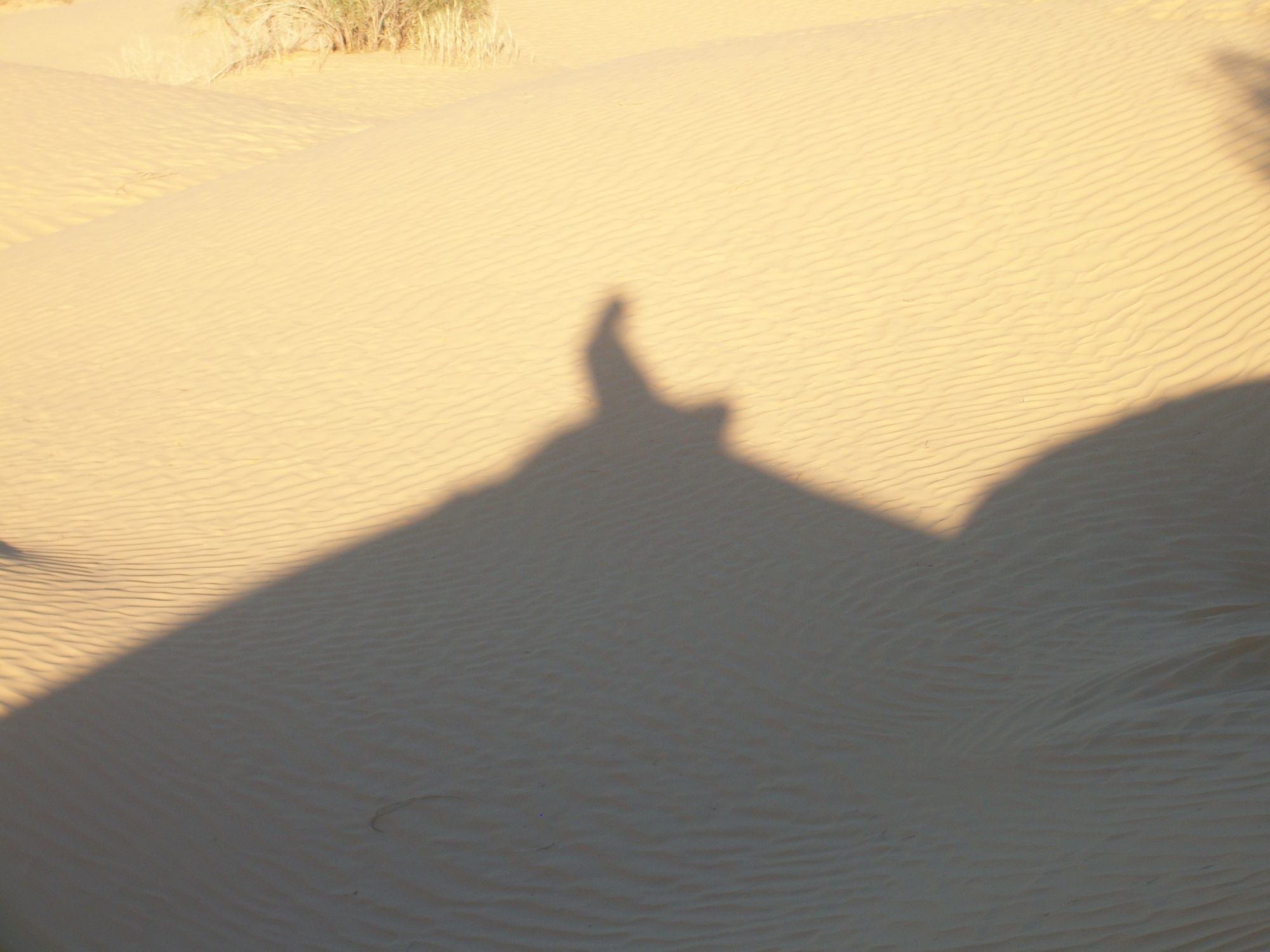stín poutníka v poušti - vision quest 2014