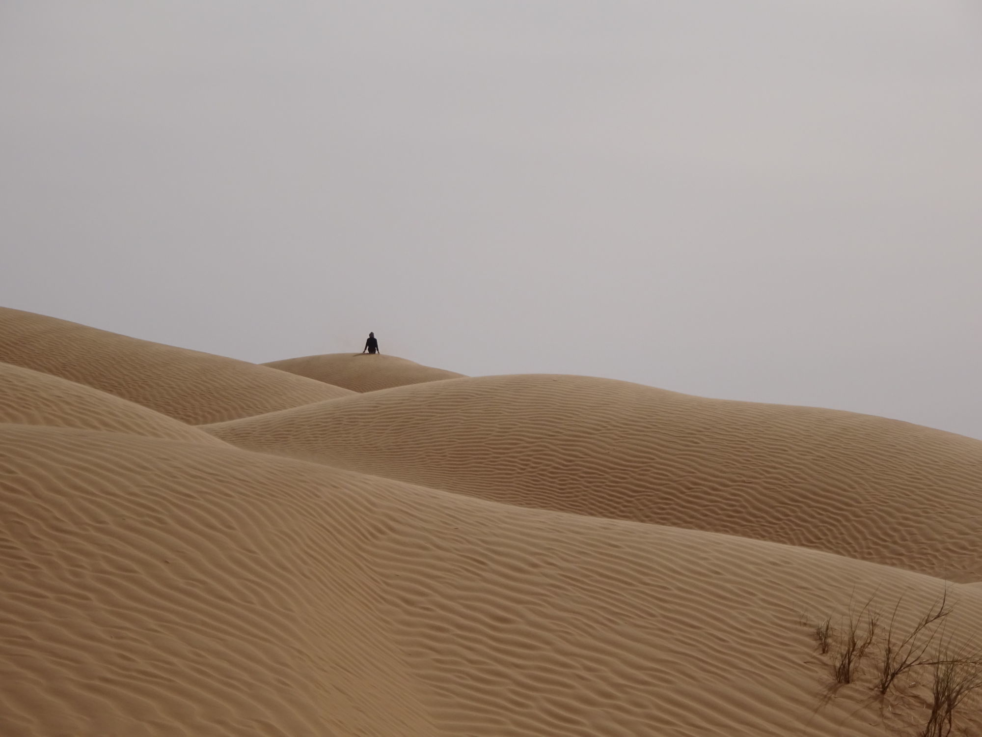 Sahara - duny na poušti