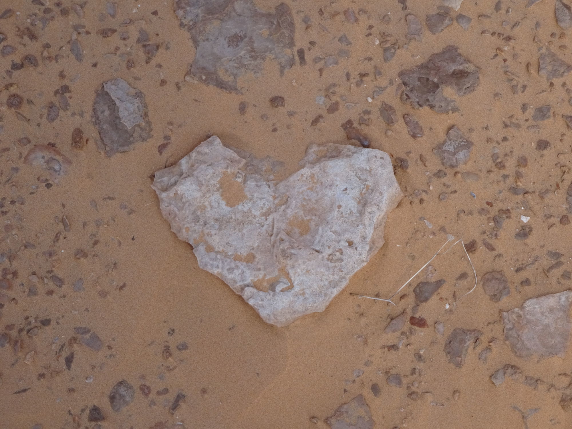 srdce v písku Sahary